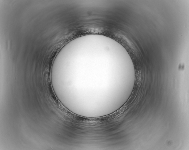 X0000094360553200711021339