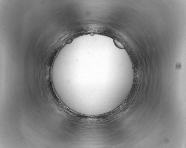 X0000094360554200711021339