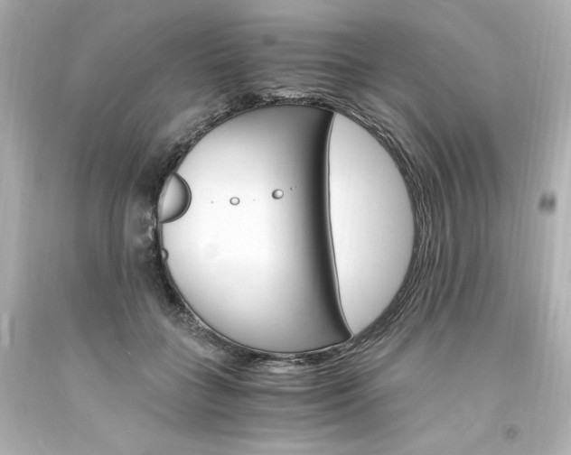 X0000094360555200711021339
