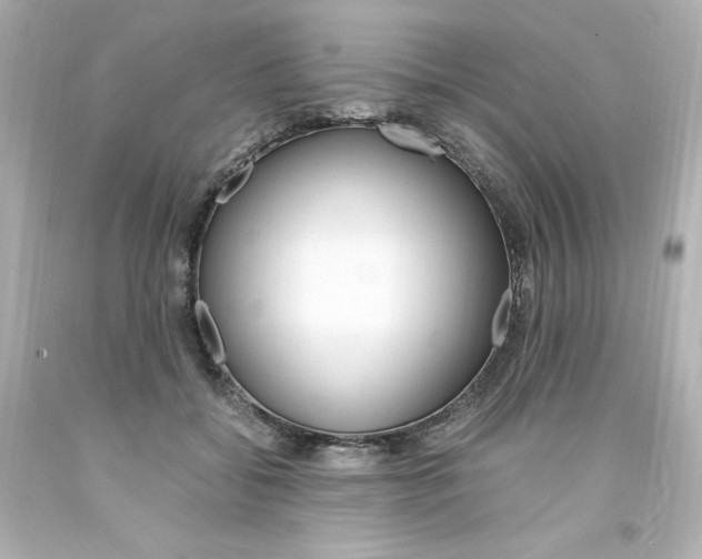 X0000094360556200711021339