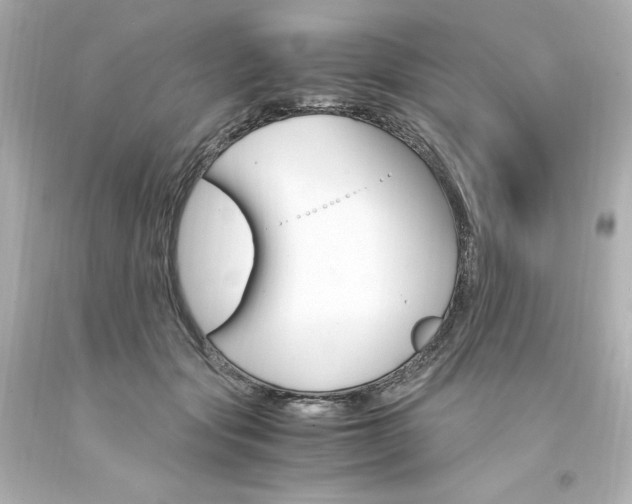X0000094360557200711021339