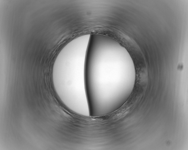 X0000094360558200711021339