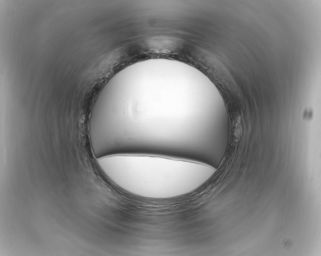 X0000094360559200711021339