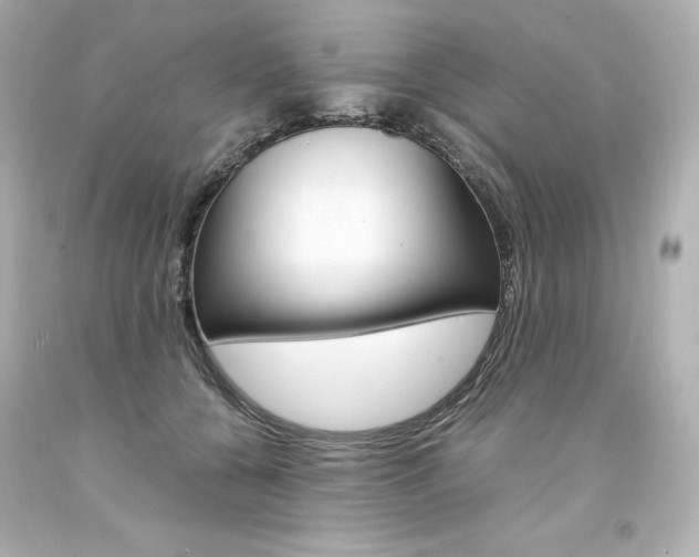 X0000094360560200711021339