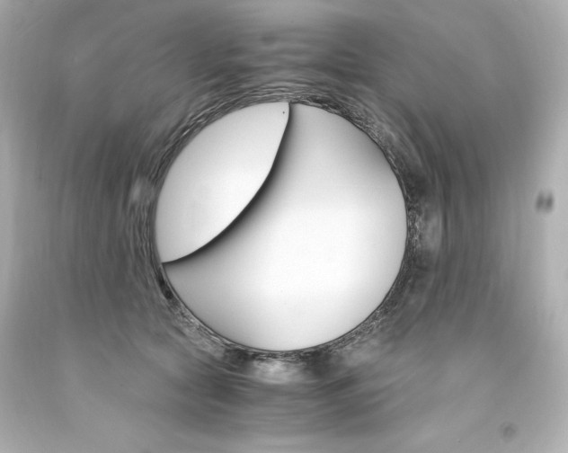 X0000094360561200711021339