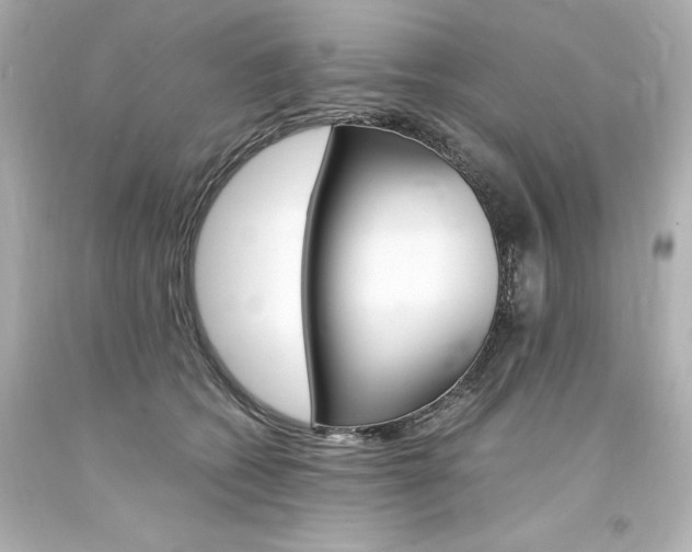 X0000094360562200711021339