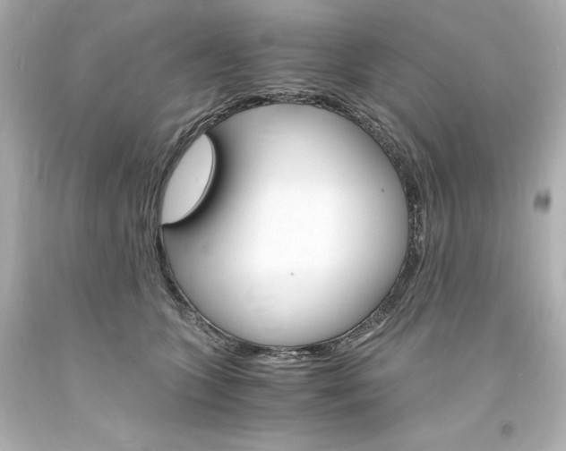 X0000094360563200711021339
