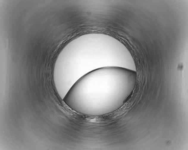 X0000094360564200711021339