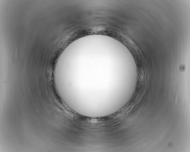 X0000094360565200711021339