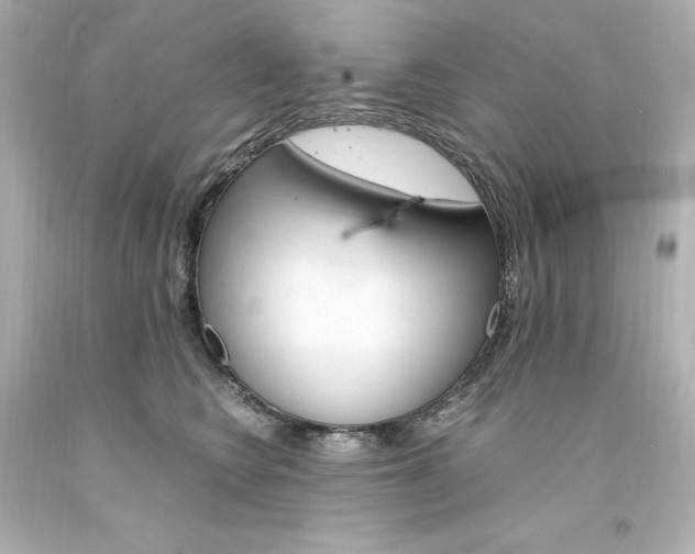 X0000094360566200711021339