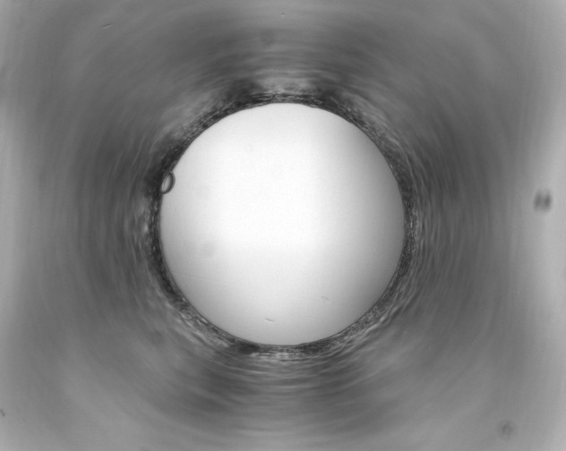 X0000094360567200711021339