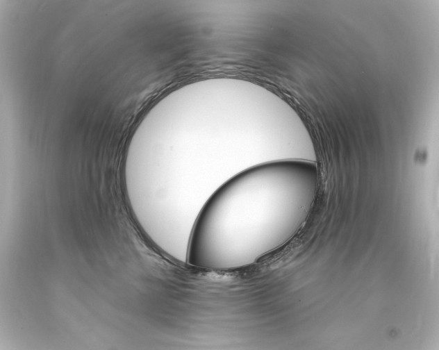 X0000094360570200711021339