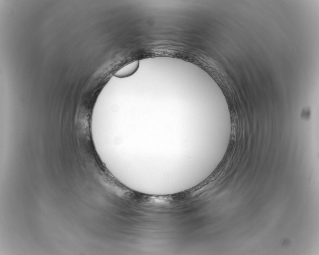 X0000094360573200711021339