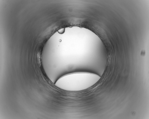 X0000094360575200711021339