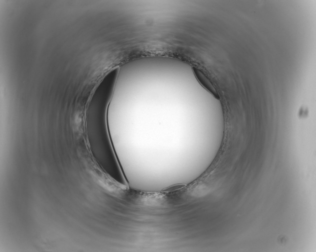 X0000094360576200711021339
