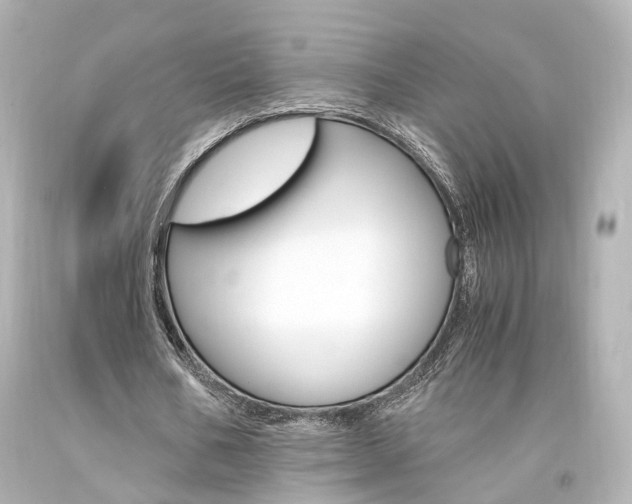 X0000094360578200711021338