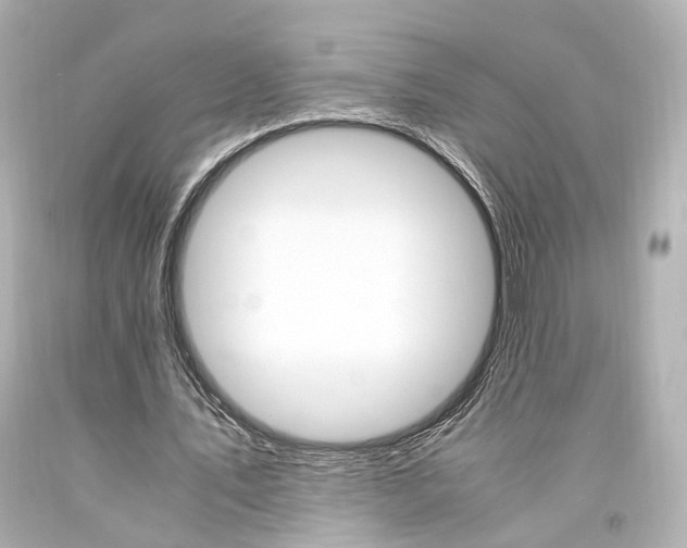 X0000094360579200711021338