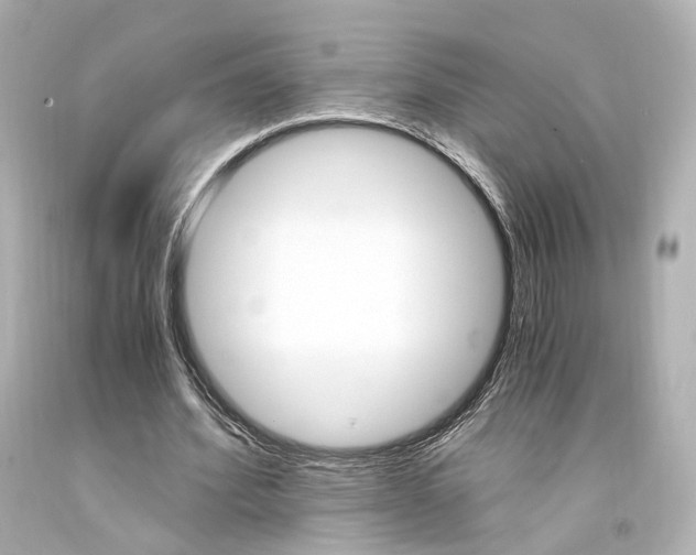 X0000094360580200711021338