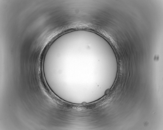 X0000094360582200711021338