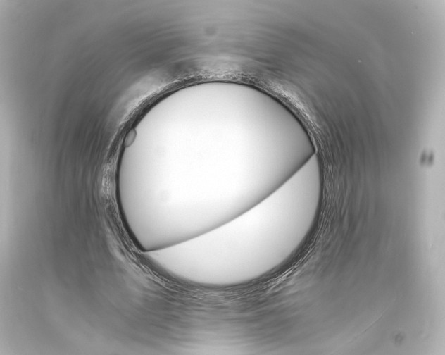 X0000094360583200711021338