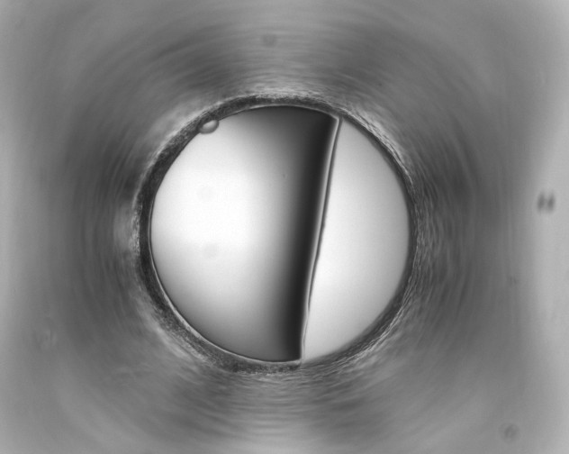 X0000094360584200711021338