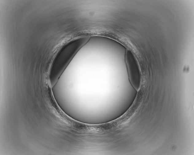 X0000094360585200711021338