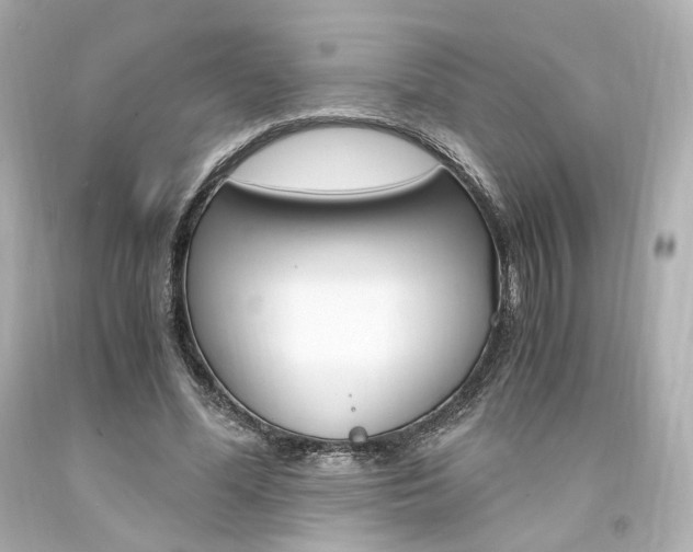 X0000094360588200711021338