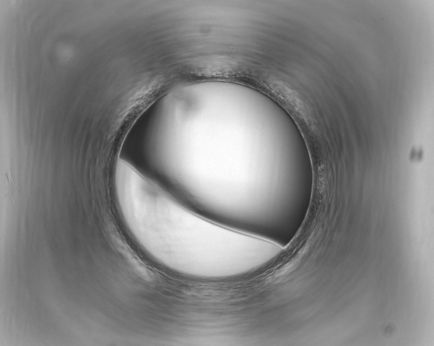 X0000094360589200711021338