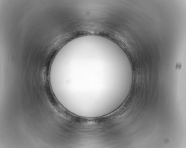 X0000094360594200711021338