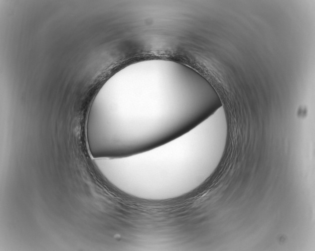 X0000094360595200711021338
