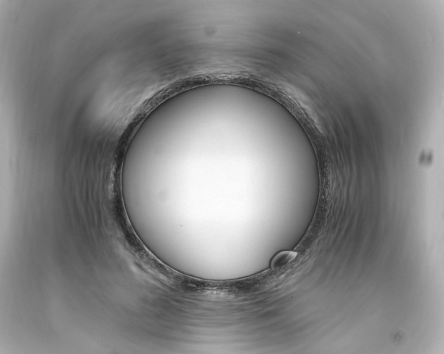 X0000094360596200711021338