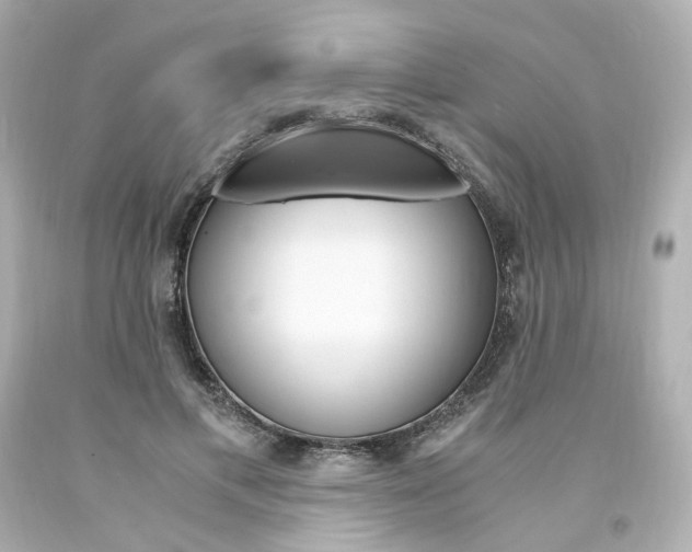X0000094360597200711021338