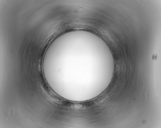 X0000094360598200711021338