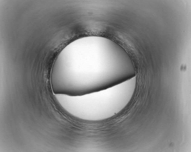 X0000094360599200711021338