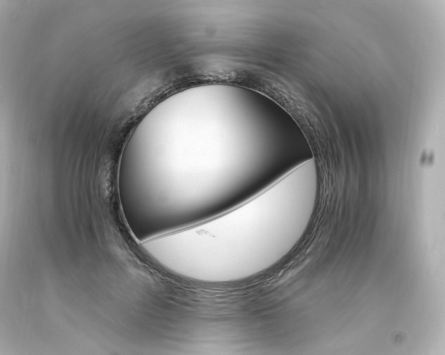 X0000094360600200711021338