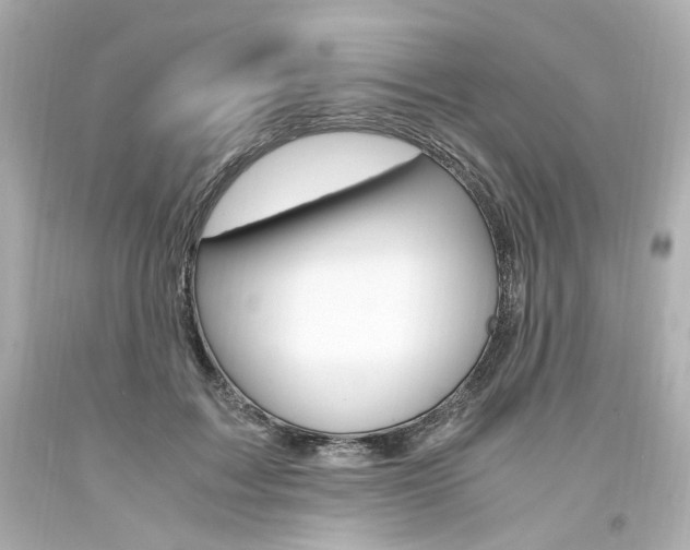 X0000094360603200711021338