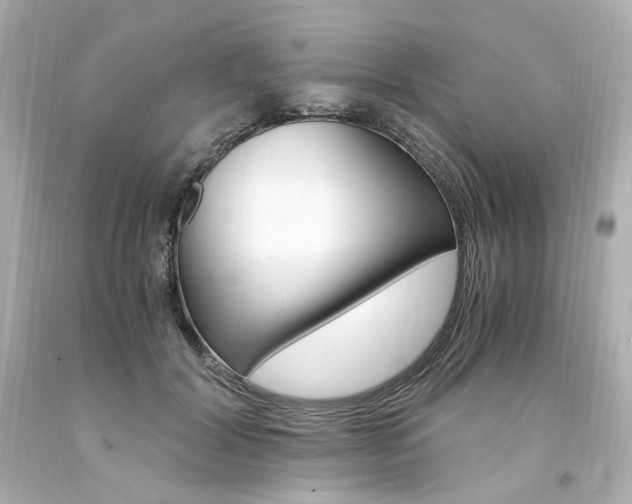 X0000094360604200711021338