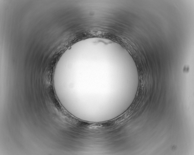 X0000094360606200711021338