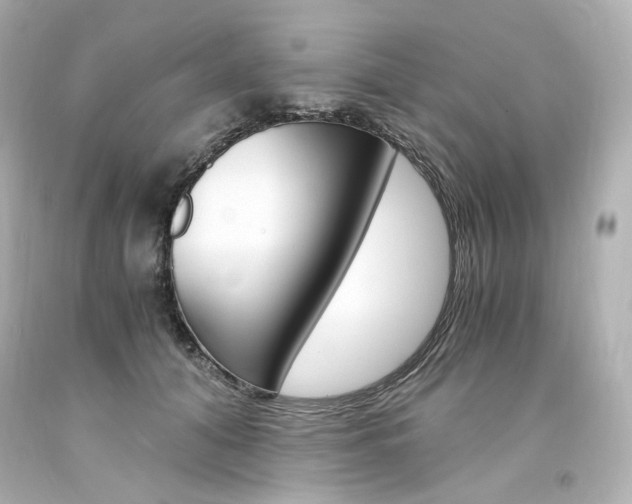 X0000094360608200711021338