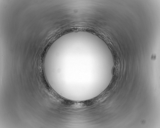 X0000094360609200711021338