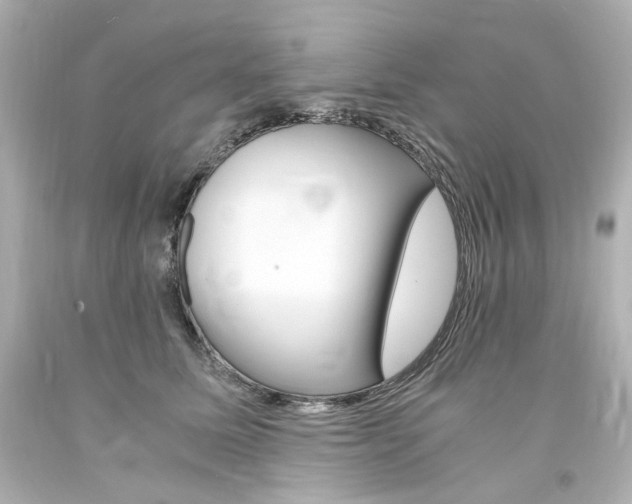 X0000094360611200711021338