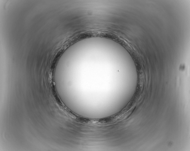 X0000094360613200711021338