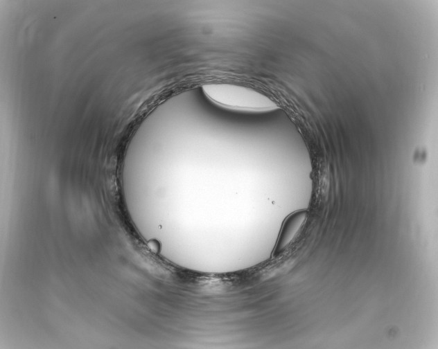 X0000094360616200711021338