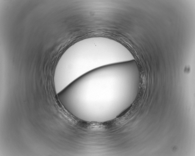 X0000094360617200711021338