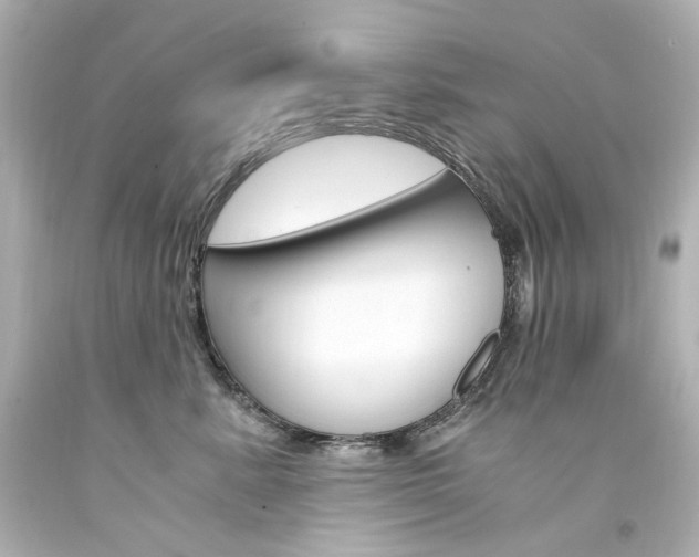 X0000094360619200711021338