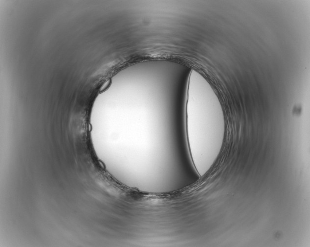 X0000094360620200711021338