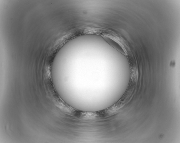 X0000094360621200711021338