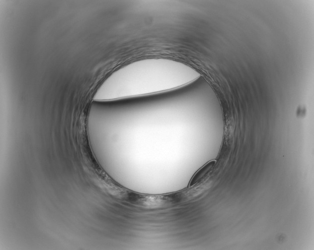 X0000094360623200711021338