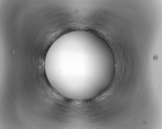 X0000094360624200711021338