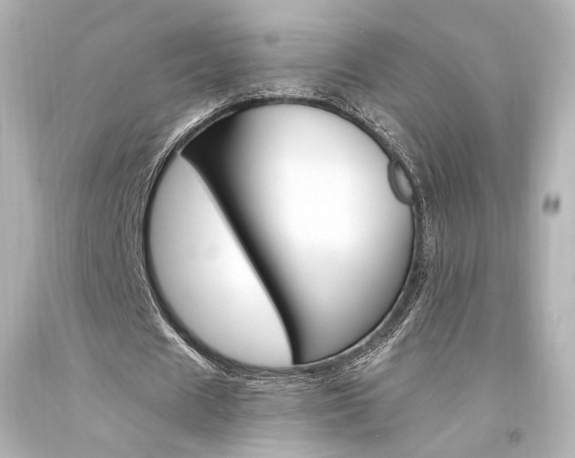 X0000094360625200711021337